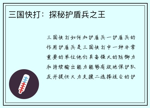 三国快打：探秘护盾兵之王